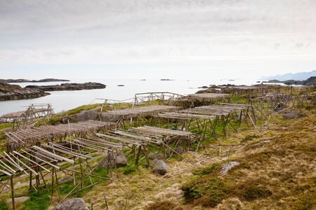 Cod stockfish hanging on flakesの写真素材