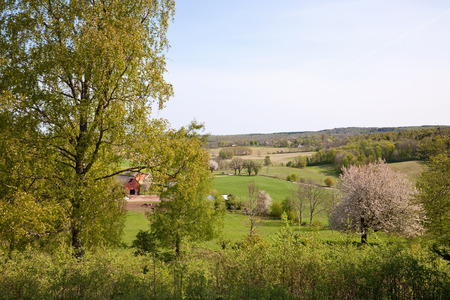 Countryside landscape at springの写真素材