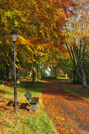 Park Bench at a walking path in the fallの写真素材