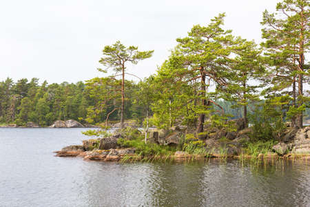 Islands with trees in the lakeの写真素材