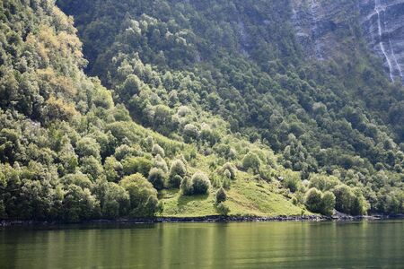 Forest at the fjord landscapeの写真素材
