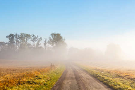 Morning mist over a road in the countrysideの写真素材