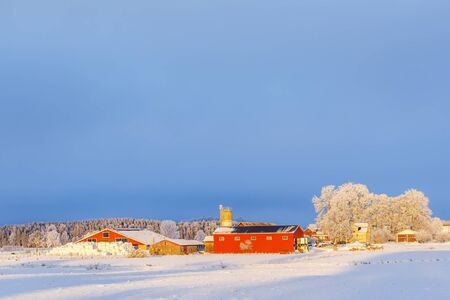 Farm buildings in a winter landscape with snow and winter lightの写真素材