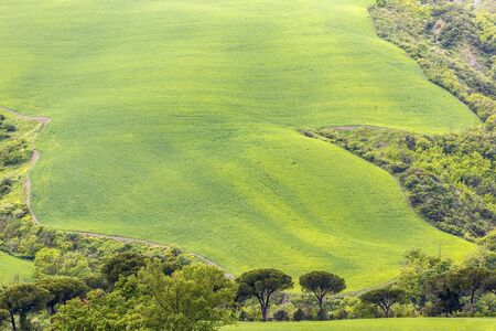 Sloping fields in a valley with trees in the countryside