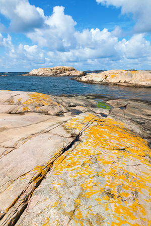 Crevice with yellow lichen on the rocks at the waterの写真素材