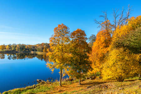 Autumn scenery by a lake with trees