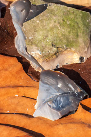 Flint stone shards on a skin