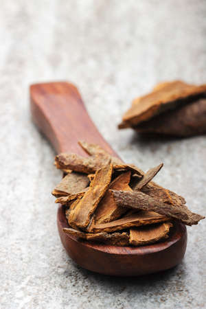 indian spices in wooden spoon on dark backgroundの写真素材