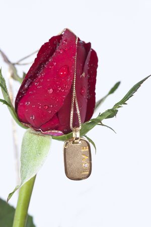 Gold pendant with diamond and red rose on white backgroundの写真素材