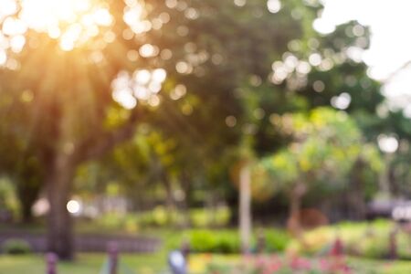 Bokeh leaf with sunlight, warm tone color use for backgroundの写真素材