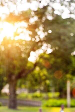 Bokeh leaf with sunlight, warm tone color use for backgroundの写真素材