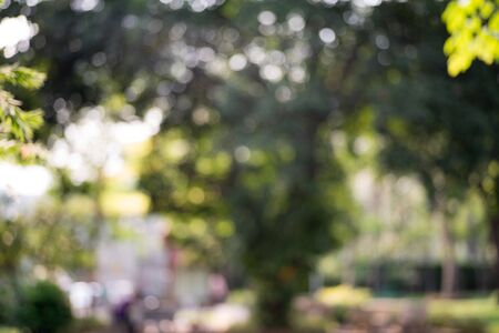 Bokeh leaf with sunlight, warm tone color use for backgroundの写真素材