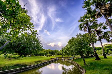 View of green trees in the city park, in sunny summer day.の写真素材