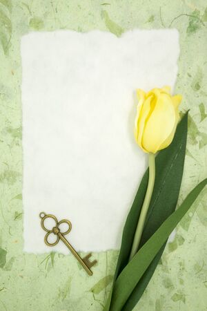 Blank paper with yellow tulip and old key on green texture paper place for your textの写真素材
