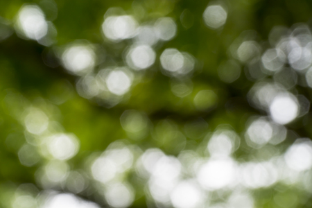 Bokeh leaf with sunlight, warm tone color use for backgroundの写真素材