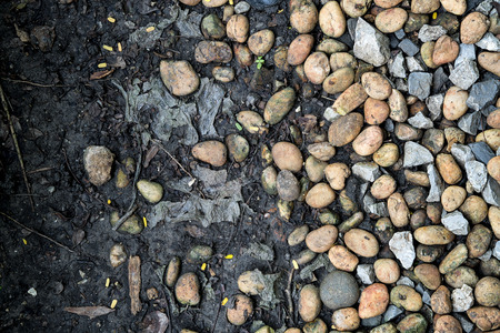 Background Texture of Pebble stones.の写真素材