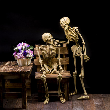 Still life of model skeleton in Halloween concept.の写真素材