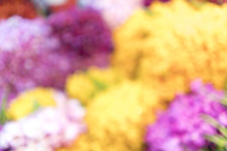 Blurred image of flowers for backgrounds usesの写真素材