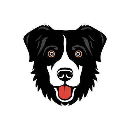 Portrait of a Bernese Mountain Dog. Vector illustration on white background.のイラスト素材