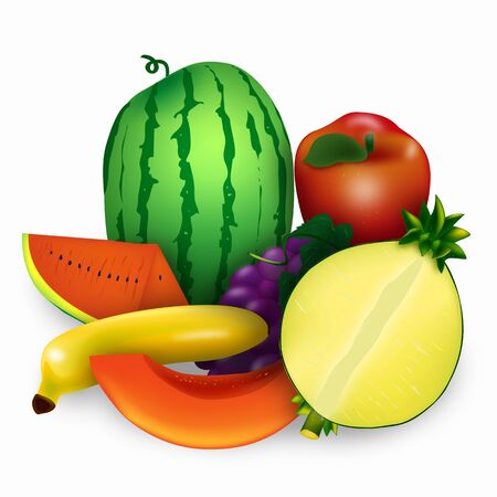 fruit illustrations with white background. の写真素材