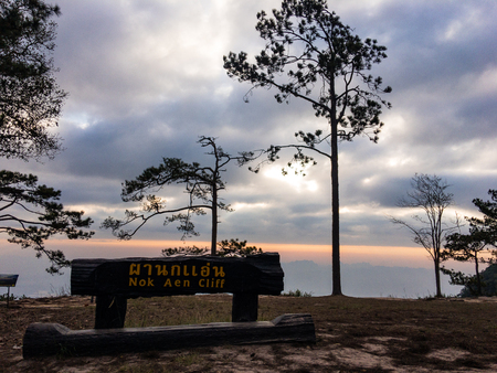 Loei, Thailand - 17 December 2017: Atmosphere of Phu Kradueng National Park.のeditorial素材