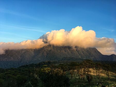 Tourist attraction Within Phu Soi Dao National Park With pines, meadows, mountains and the evening sun.の写真素材
