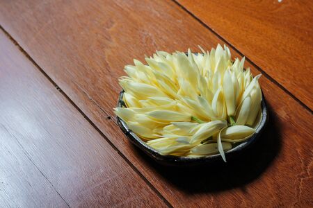 Michelia alba :   Many flowers that are placed together.の写真素材