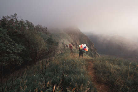 Many kinds of wildflowers in the Doi Mon Chong area.の写真素材