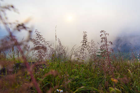 Views around Doi Mon Chong, Chiang Mai, Thailand.の写真素材