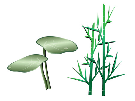 Bamboo and Taro Plantのイラスト素材