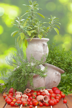 tomatoes and herbs in amphoraの写真素材
