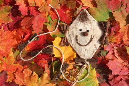 flying kite on colorful leaves in autumnの写真素材