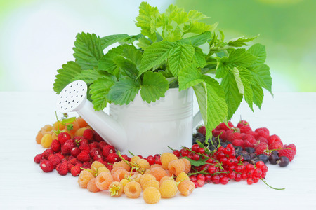 berries and watering canの写真素材