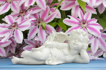 angel and clematis flowersの写真素材