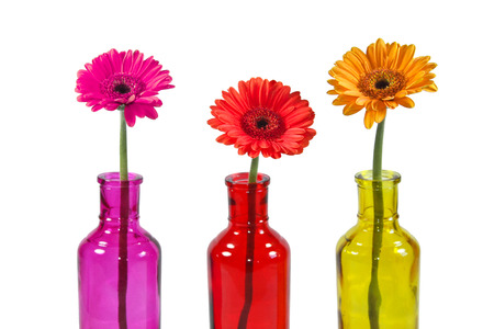 colorful gerbera flowers in bottles on white backgroundの写真素材