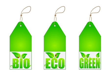 Set of green labelsのイラスト素材