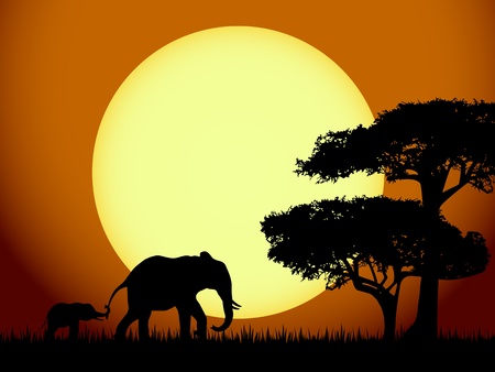 Elephants at sunsetのイラスト素材