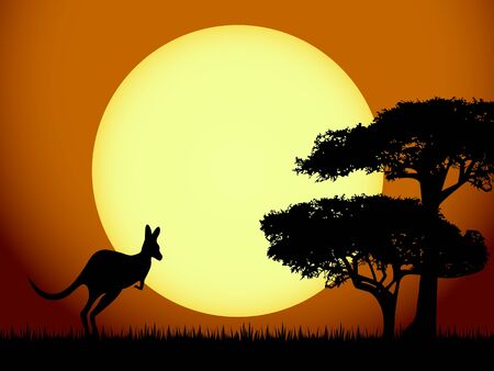 Kangaroo at sunsetのイラスト素材