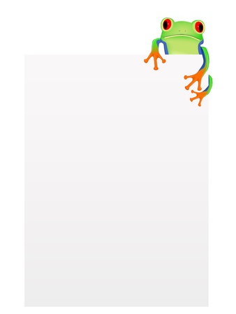 Red eyed tree frog with blank backgroundのイラスト素材