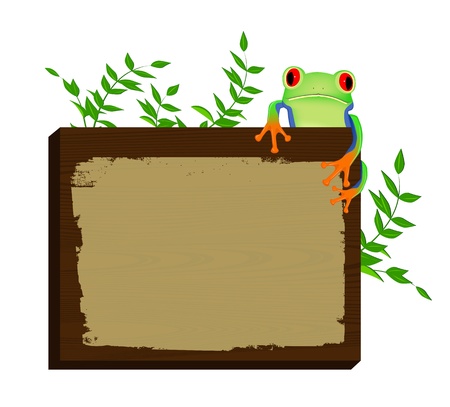 Red eyed tree frog sitting on wood backgroundのイラスト素材