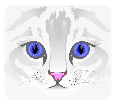 Close up of cat faceのイラスト素材
