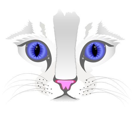 Close up of cat faceのイラスト素材