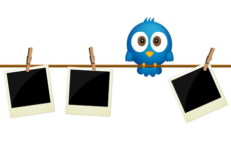 Three blank photos hanging on rope with blue bird sitting between them のイラスト素材