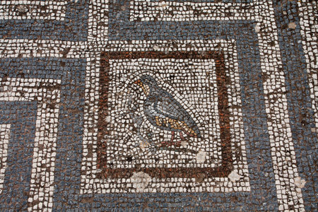 Old roman mosaic floor in Kos city; Greeceの写真素材