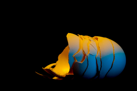 What's left behind - some broken eggshells in the dark