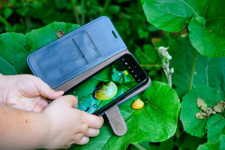 Child using mobile for taking picture of snail in nature