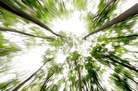 Tree Landscapeの写真素材