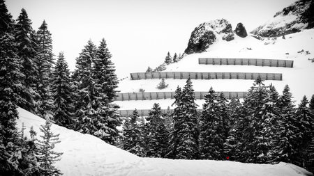 A snowy winter landscape.の写真素材