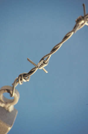 Barbwireの写真素材