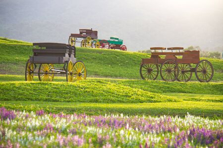 Beautiful landscape Historic carriage in flower fieldの写真素材